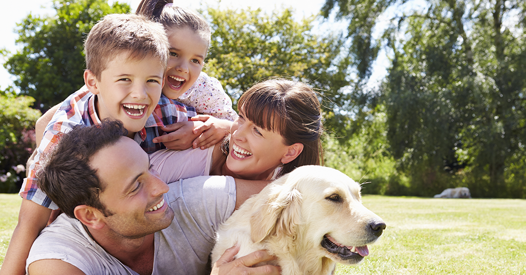 7 cosas indispensables para tener una mascota sana y feliz